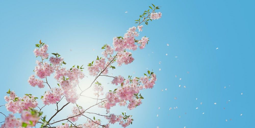 Wellnessangebot im Sommer für Privatpatienten