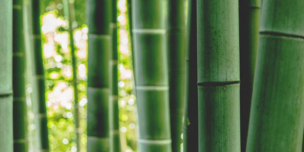 Hot-Bamboo-Massage Privatstation